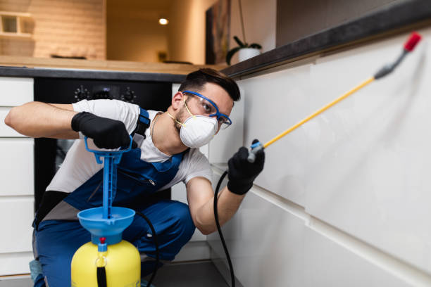 Best Flea Control Services  in Pumpkin Center, NC