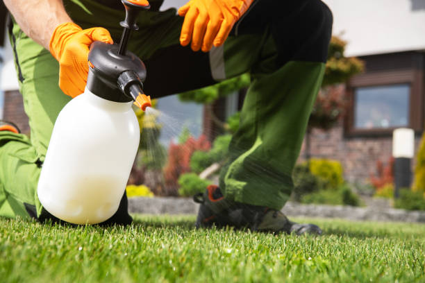 Best Best Pest Control Companies  in Pumpkin Center, NC