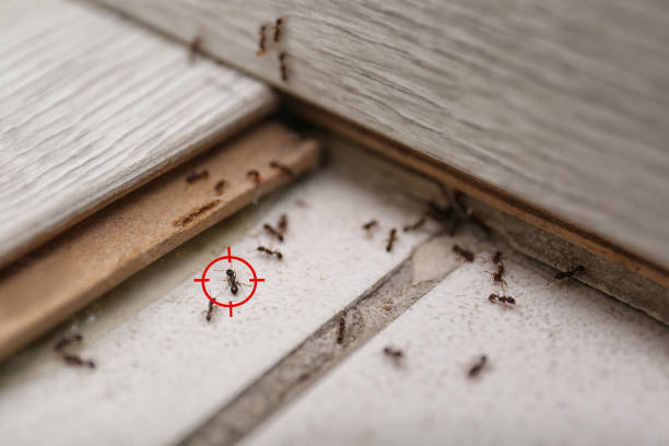 Pest Control Cost in Pumpkin Center, NC