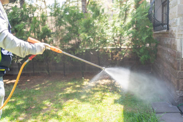 Best Pest Removal Services  in Pumpkin Center, NC