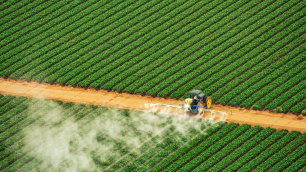 Best Commercial Pest Control Services  in Pumpkin Center, NC