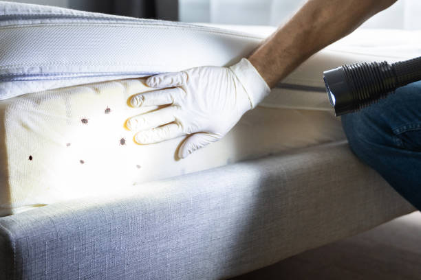 Best Exterminator Services  in Pumpkin Center, NC
