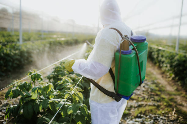Best Pest Control Near Me in Pumpkin Center, NC